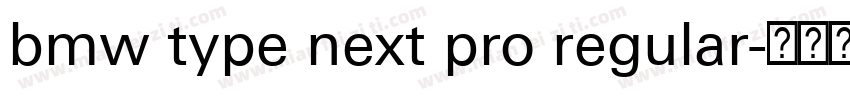 bmw type next pro regular字体转换